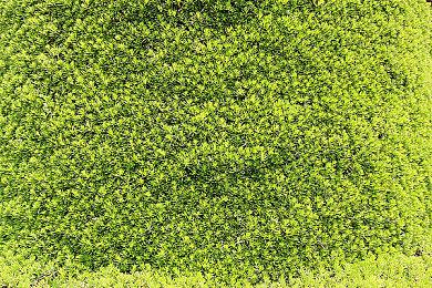 淘金计划专访：明星创作者七殺黑手，游戏热爱让我们相聚！